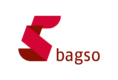 Logo Bundesarbeitsgemeinschaft der Seniorenorganisationen