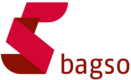 Logo Bundesarbeitsgemeinschaft der Seniorenorganisationen