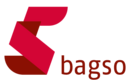 Logo Bundesarbeitsgemeinschaft der Seniorenorganisationen